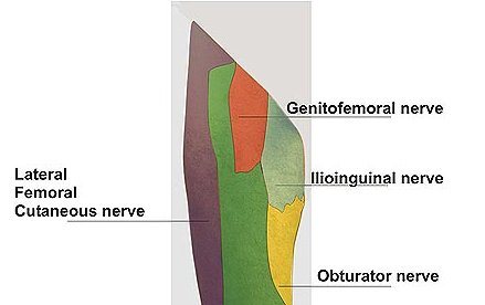 Genitofemoral Neuralgia